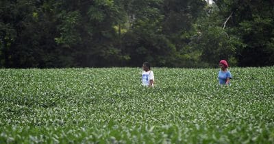 China extends US soybean buying spree as trade thaw reshapes macro outlook for risk assets