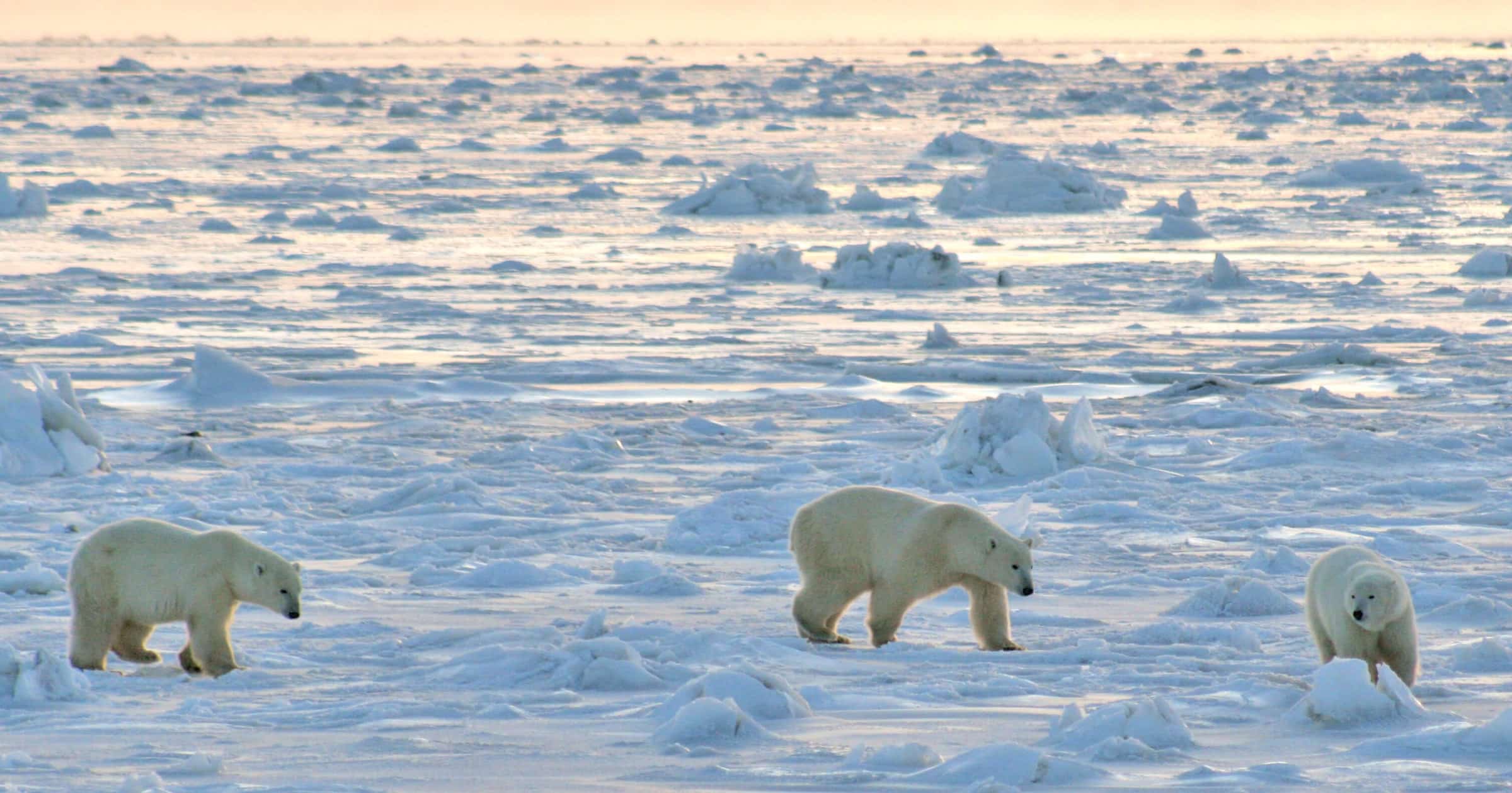 Canada warns of advancing Russian threat in Arctic
