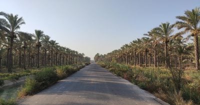 US strikes hit military bunkers near Bushehr as crypto markets shrug