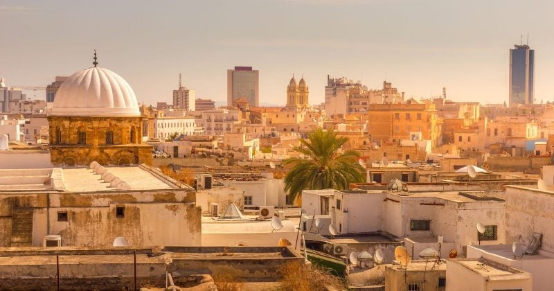 Tunisia’s World Cup coaching chaos highlights the gap in sports crypto fan tokens