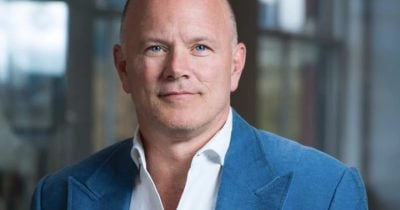 Mike Novogratz bets on Texas AI infrastructure instead of AI stocks