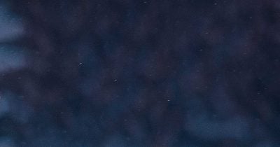 Vinicius Junior’s World Cup exit sparks wave of unauthorized crypto tokens