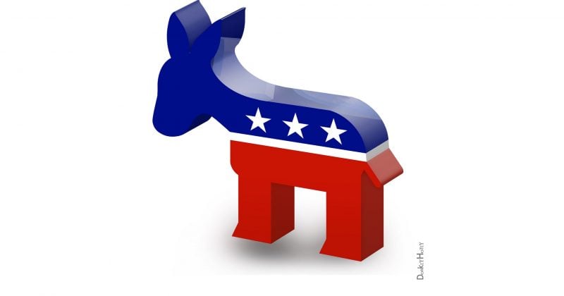 Democratic ‘Hell Cats’ post strong fundraising in Q2, eyeing 2026 midterms