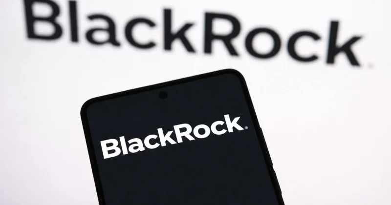 BlackRock CEO Fink bullish on Bitcoin’s stability, growth over next 12 months