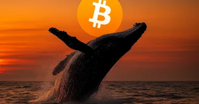 Whale boosts Bitcoin short on Hyperliquid, gains $131K in 30 days