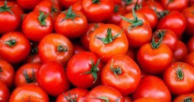 Canadians face 32% hike in tomato prices amid grocery inflation surge