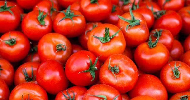 Canadians face 32% hike in tomato prices amid grocery inflation surge
