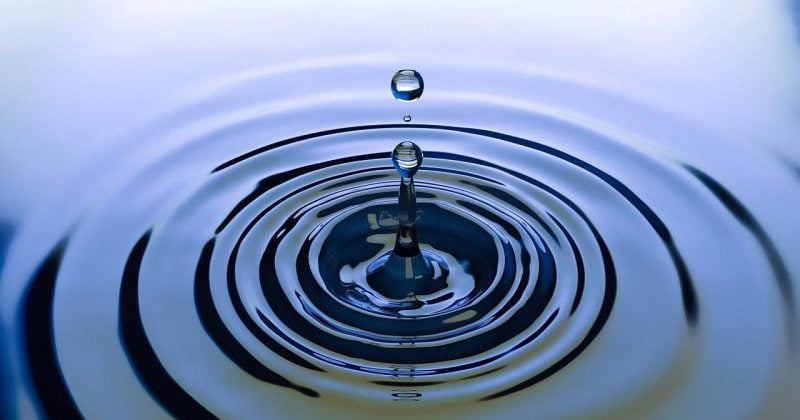 XRP Ledger surpasses 1M agentic transactions, growth expected: RippleX