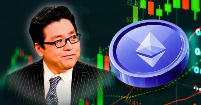 BitMine stakes over 4.9 million Ethereum, boosting annualized revenue to roughly $244M