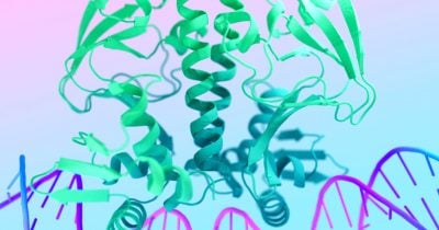 AlphaFold AI redesigns gene-editing proteins to enhance safety, and biotech investors should pay attention