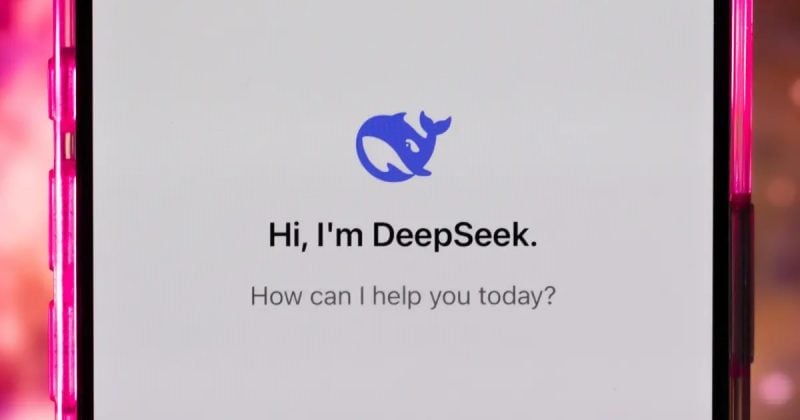 DeepSeek pauses funding discussions amid investor concerns
