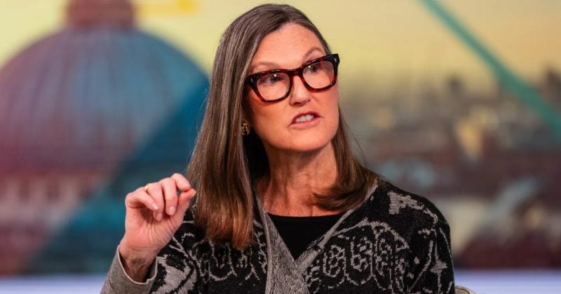 Cathie Wood names Tesla and SpaceX as her top AI stock picks