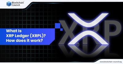 XRP Ledger adds 490K new accounts in first half of 2026