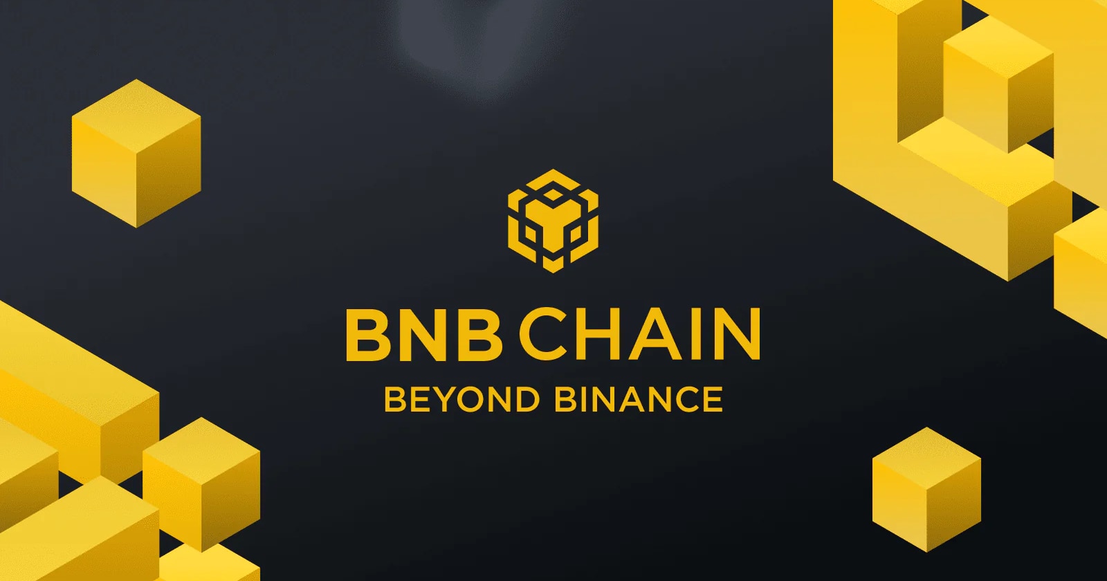 BNB Chain surpasses Tron with 79.3 million stablecoin holders as total market hits 289 million