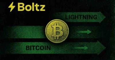Boltz Bridge Shuts Down Following AI Exploits