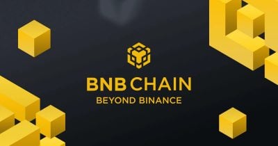BNB Chain generates $900K in REV, outpacing major rivals