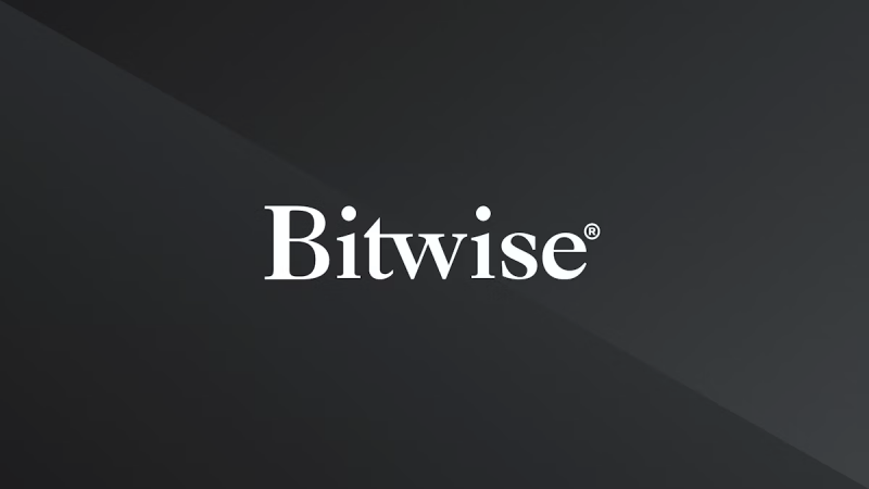 Bitwise CIO says crypto will advance even if Clarity Act misses Senate deadline