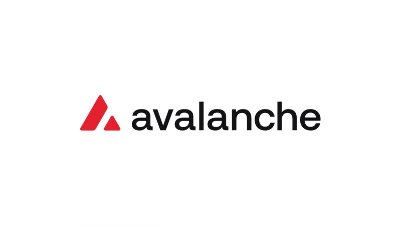 Avalanche Treasury CEO warns AI agents may strain blockchain capacity
