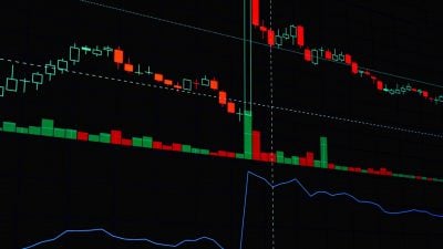 Coinbase Exchange activates full trading for BLUECHIP-USD pair