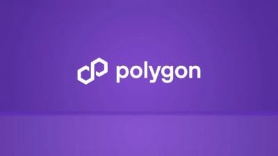 Polygon prepares permissionless burn of 100M POL tokens