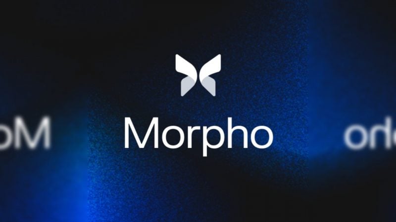 Morpho blames AI marketing tool for deleted post that misrepresented its curator model