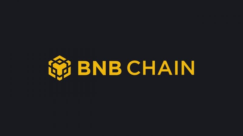 BNB Chain adds 985K stablecoin holders in a single week, dwarfing every other network