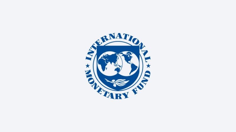 IMF says tokenized repos average $300 billion to $350 billion a day
