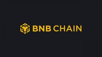 BNB Chain leads tracked chains in tokenized equities with 41% market value