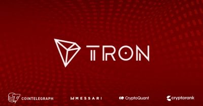 Resumen 2024 de TRON: Crecimiento récord destacado en informes de Messari, CryptoQuant, CryptoRank