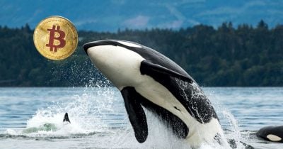 Ballena de Bitcoin expuesta como ciberdelincuente utilizando fondos robados en operaciones de alto apalancamiento