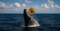 Ballena de Bitcoin inactiva se activa tras 14 años y mueve 60,000 BTC