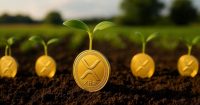Nature’s Miracle, una empresa de agtech, lanza tesorería XRP de M y ojos en la generación de rendimiento a largo plazo mediante staking.