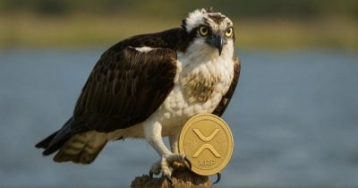 9a63d7cb-f9f1-46bf-b9bb-eb7bbc8c29dc.jpg REX-Osprey lanzará el primer ETF de XRP en EEUU esta semana