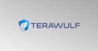 TeraWulf busca financiación de B con apoyo de Google