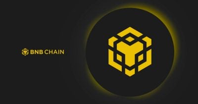 0ac573ea-0585-408c-941d-5500f59de15a.jpg La Fundación BNB completa la 33ª quema trimestral, destruyendo $1.6B en BNB