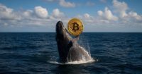 Ballenas retiran 2,000 Bitcoin valorados en 0M de Binance en 2 horas