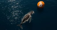 Más de 10,000 Bitcoin comprados por whales en las últimas 24 horas