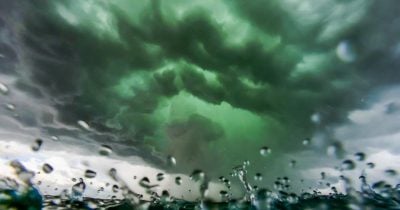 El token RAIN se dispara un 100% mientras Enlivex anuncia financiación de $212M para estrategia de tesorería RAIN