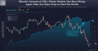 Santiment observa aumento en carteras de Bitcoin con 100 BTC