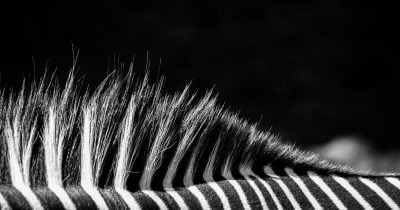 Propietario de Juventus rechaza oferta de adquisición de Tether