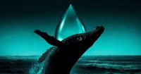 Trader de Hyperliquid apuesta todo en petr&oacute;leo y se liquida en menos de 40 minutos