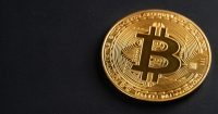 Elon Musk anima waifu de Bitcoin tras pedido viral de arte de fan