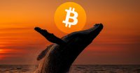 Flujo de BTC de ballenas a exchanges cae por debajo de $3 mil millones mientras holders a largo plazo compran $49 mil millones