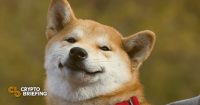 Primer plano de un perro Shiba Inu con una leve sonrisa, llevando un collar rojo.